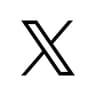 The X logo