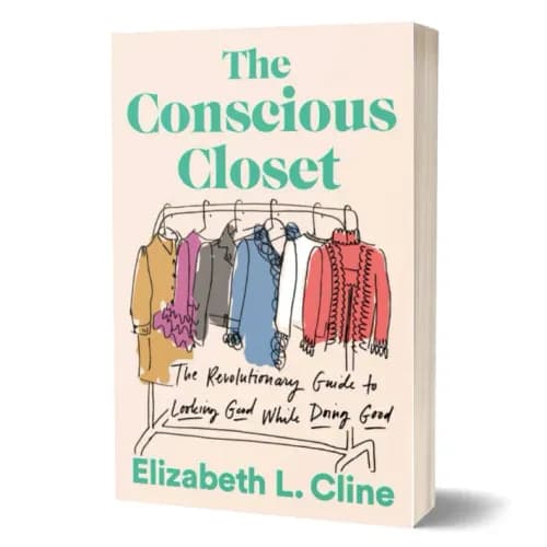 4. "The Conscious Closet: The Revolutionary Guide to Looking Good While Doing Good" by Elizabeth L. Cline